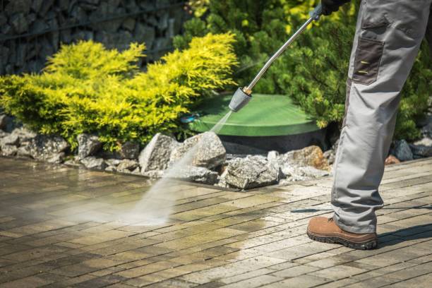 Best Animal Enclosure Cleaning  in High Bridge, NJ